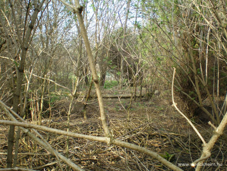 Kiscsako_Geist-Batthyany-kastely 002